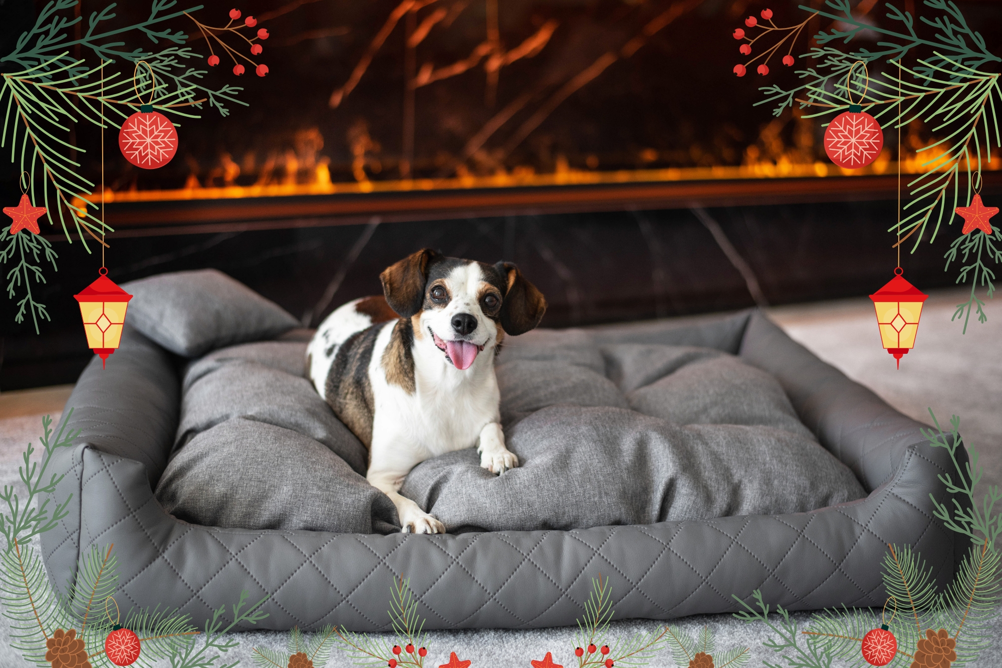 Vánoční pelíšky pro psy (2)